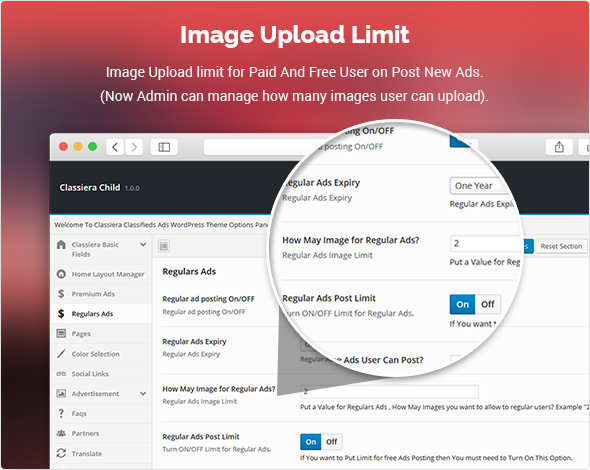 Image Upload Limit classified theme