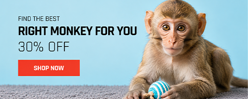 Monkey-sale