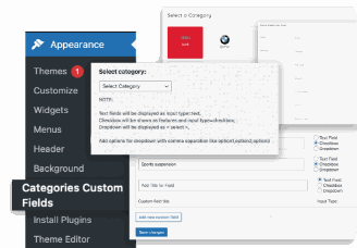 Classiera custom fields feature